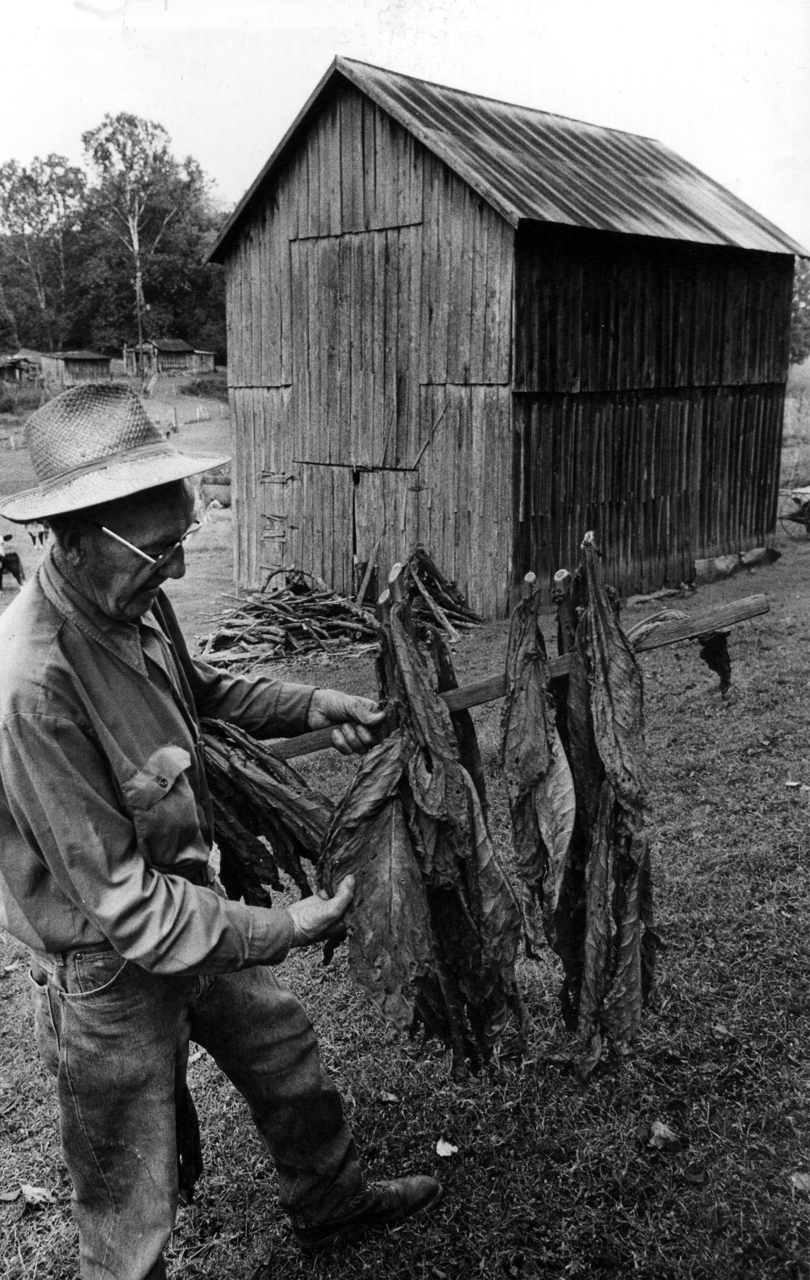 1978-09-26 Tobacco